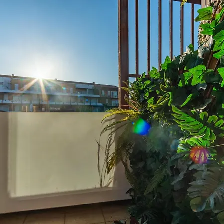 Apartment Barista Homes San Miguel de Abona