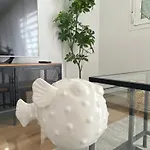 Barista Homes