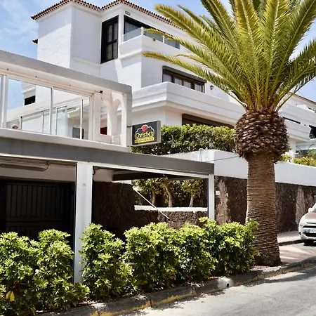 Barista Homes * San Miguel de Abona
