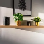 Barista Homes